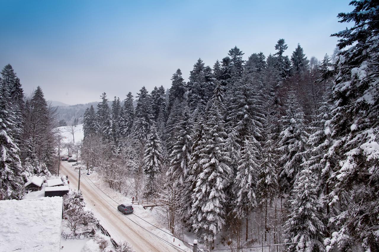 Apartamenty Sun & Snow Zielona Krynica Zdroj Ngoại thất bức ảnh